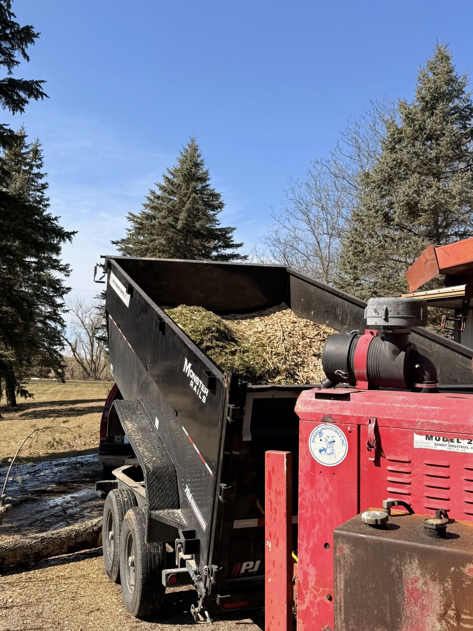 Full trailer load of logs after tree removal