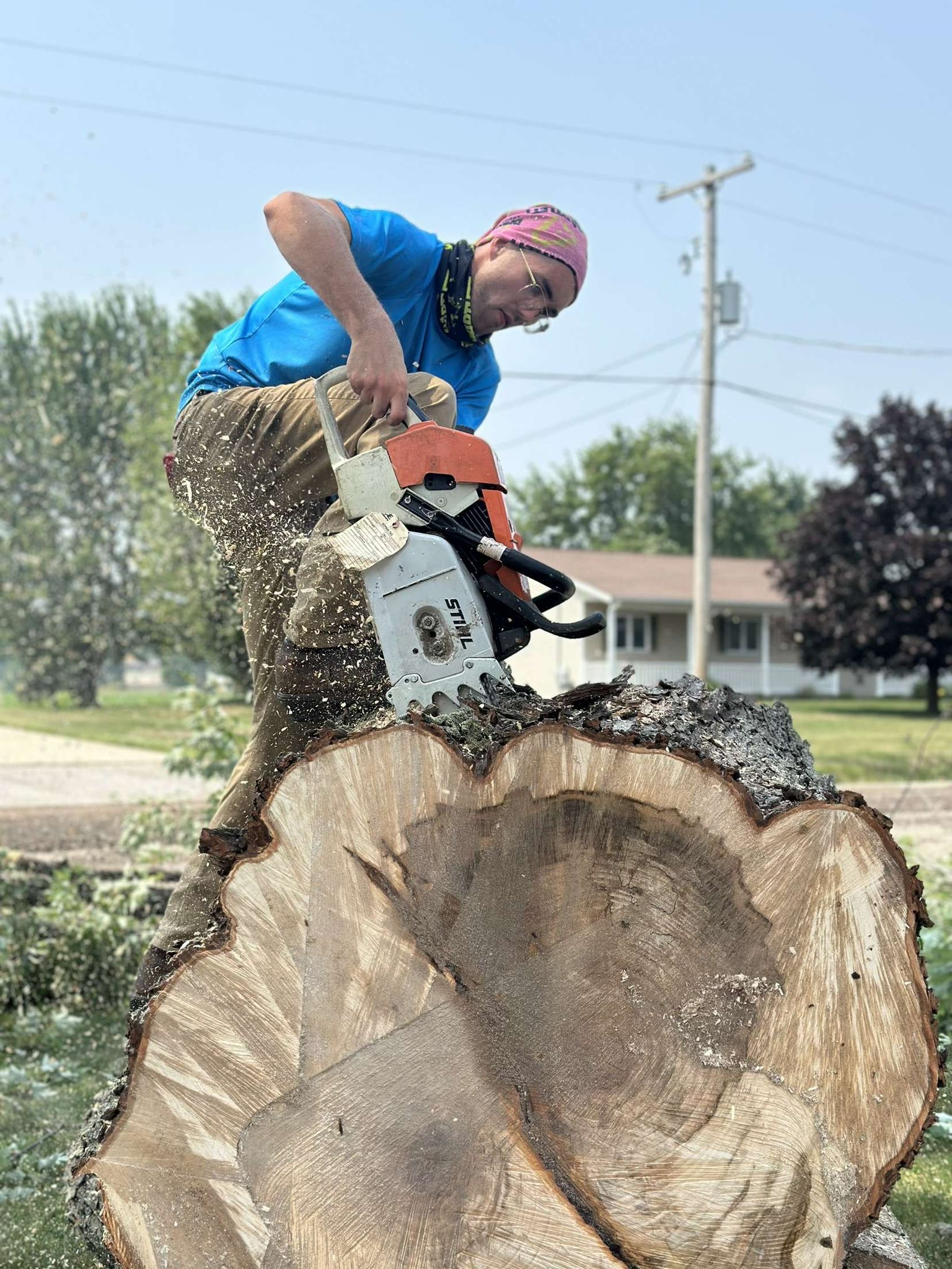 About Broken Limb Tree Service Bay City MI