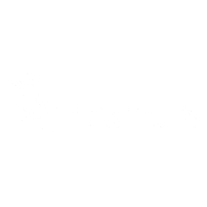 Manus