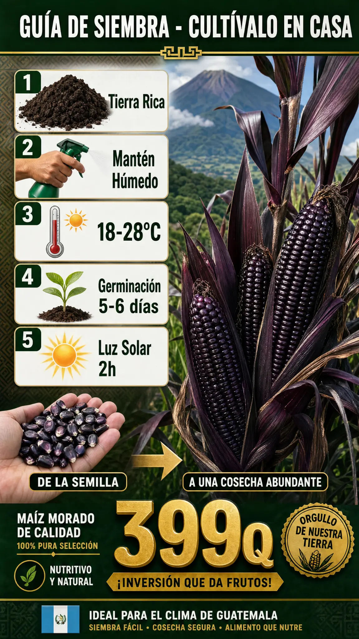 03_Guia_Siembra.webp